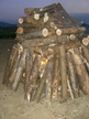 Warnfeuer 33